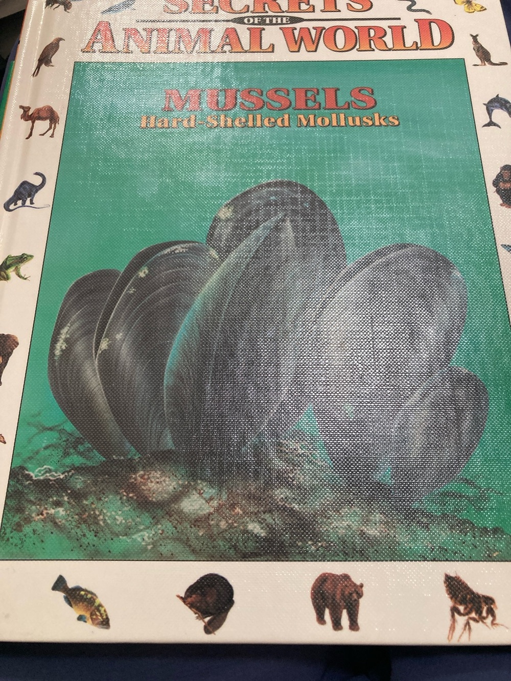 Secrets of the Animal World: Mussels Hard-Shelled Mollusks – new Hardcover